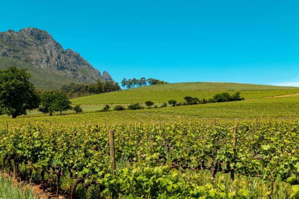 luxury-experiences-in-cape-town